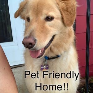 🐶 We are a Pet Friendly Home 🐶